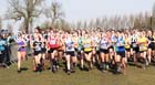 Soon after start of the Senior Womens Inter Counties Championships,  Cofton Park, Birmingham. Photo: David T. Hewitson/Sports for All Pics